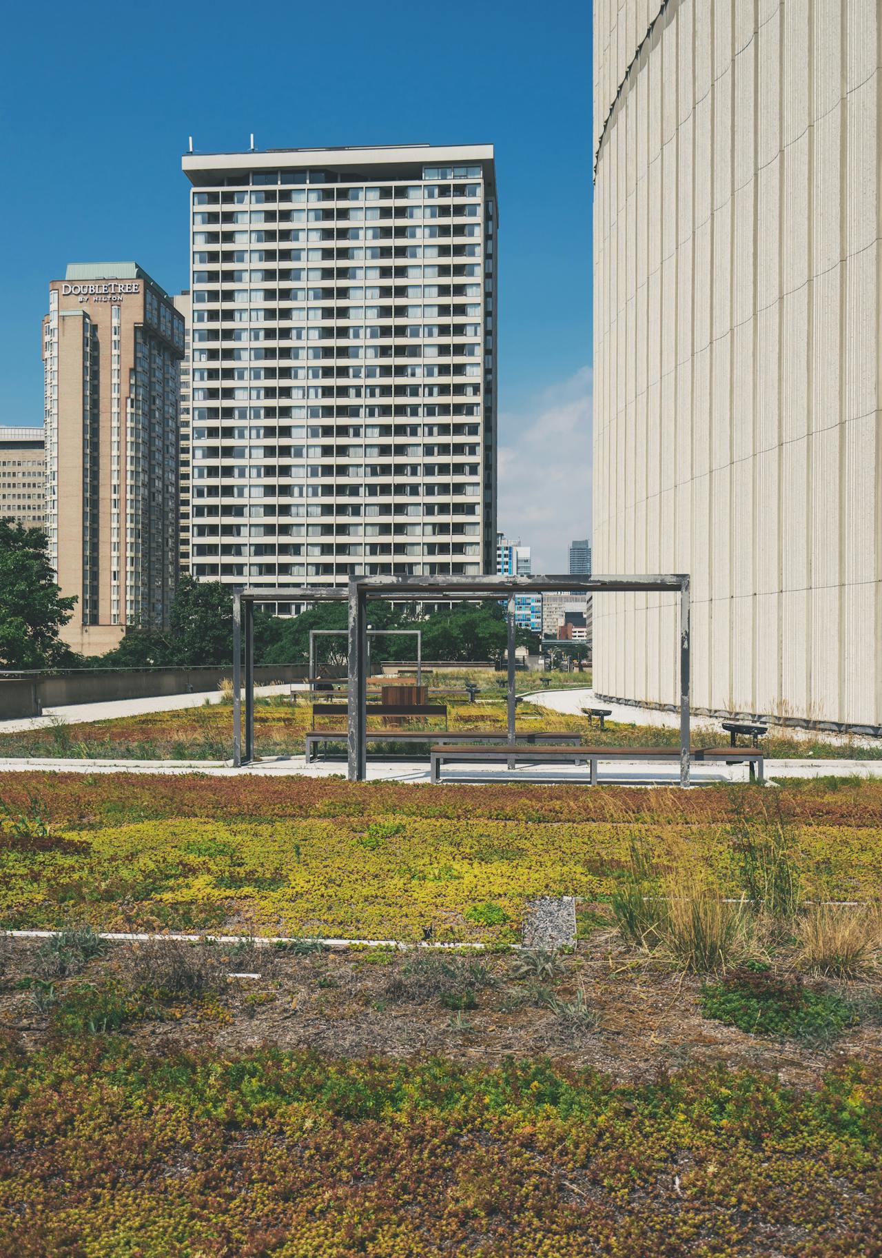 Reflective green roof